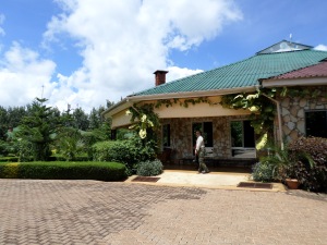 Safari lodge